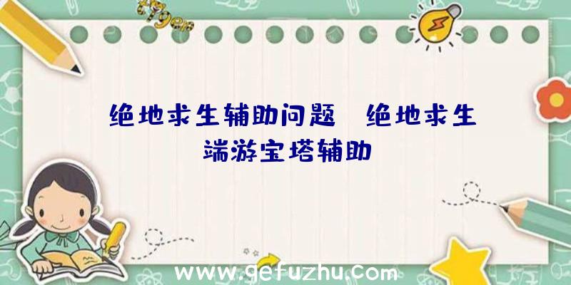 「绝地求生辅助问题」|绝地求生端游宝塔辅助